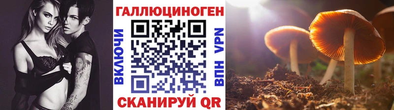 Галлюциногенные грибы прущие грибы  закладка  Белово 