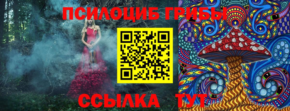 Белово  Псилоцибиновые грибы Magic Shrooms  закладки  Вход с VPN  Галлюциногенные грибы Psilocybe 